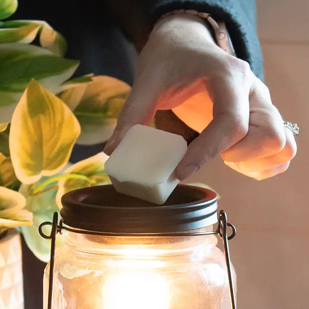 Sweet Tobacco Leaves - 5.5oz Wax Melts