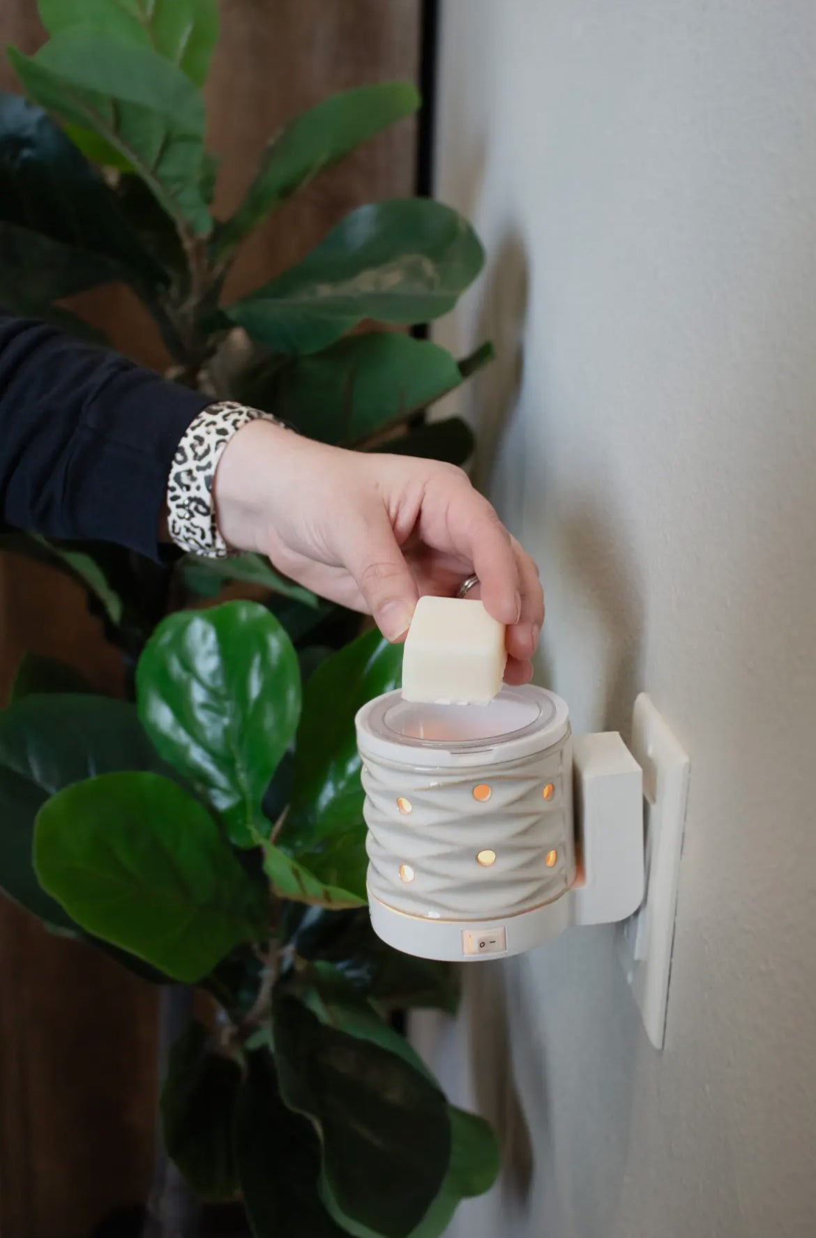 Sunday Morning - 5.5oz Wax Melts