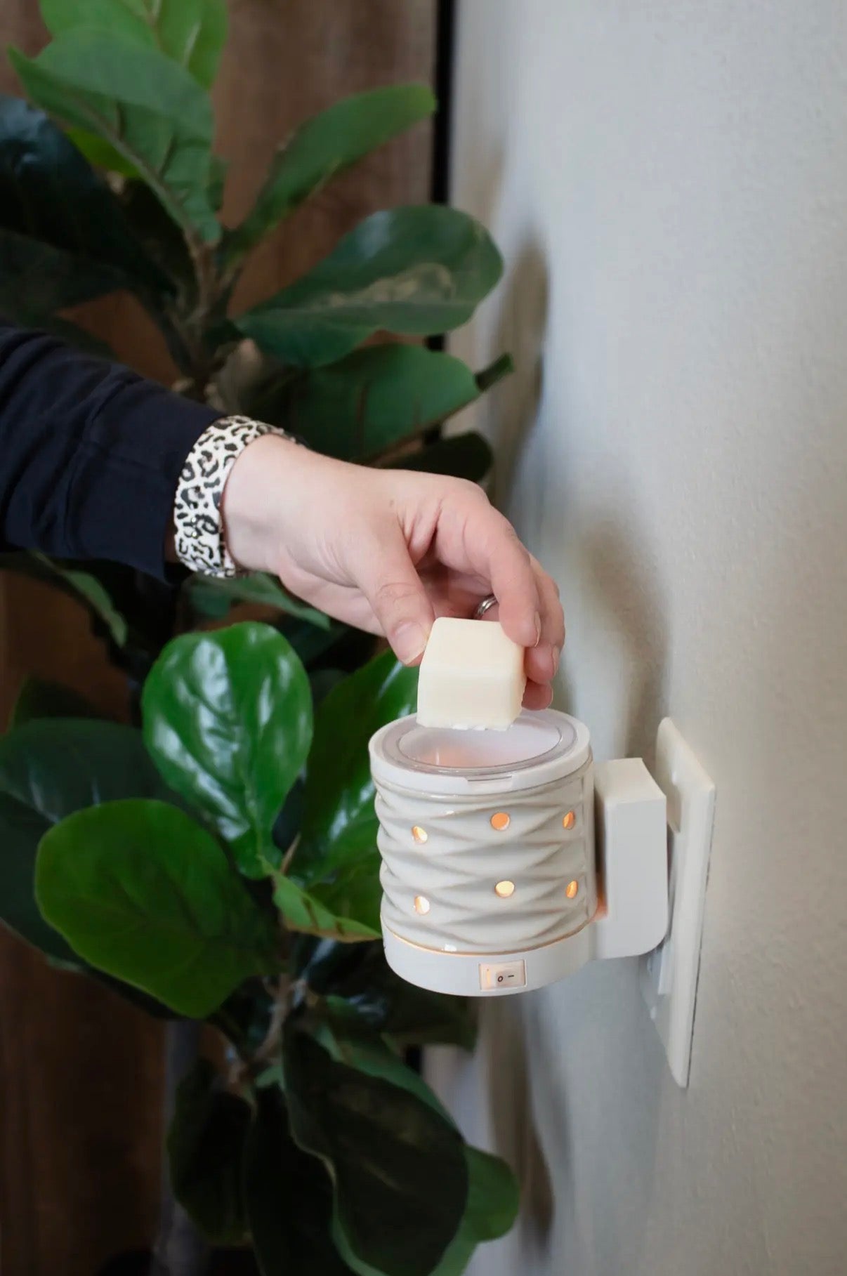 Hand placing a candle into a wall-mounted wax warmer next to a plant